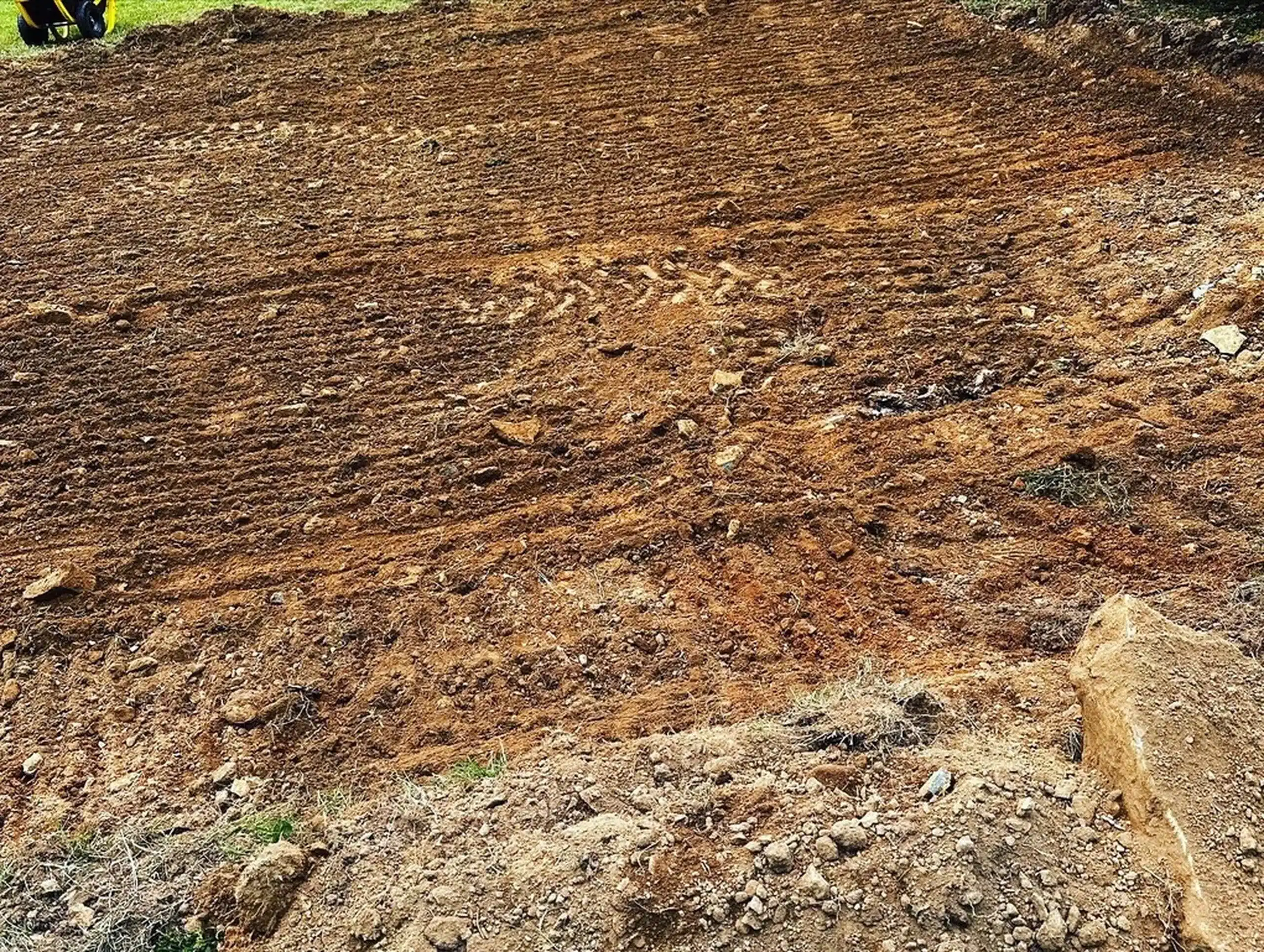 0729CAF2-DCEB-4347-9419-D31F06A9CEC5_1_105_c